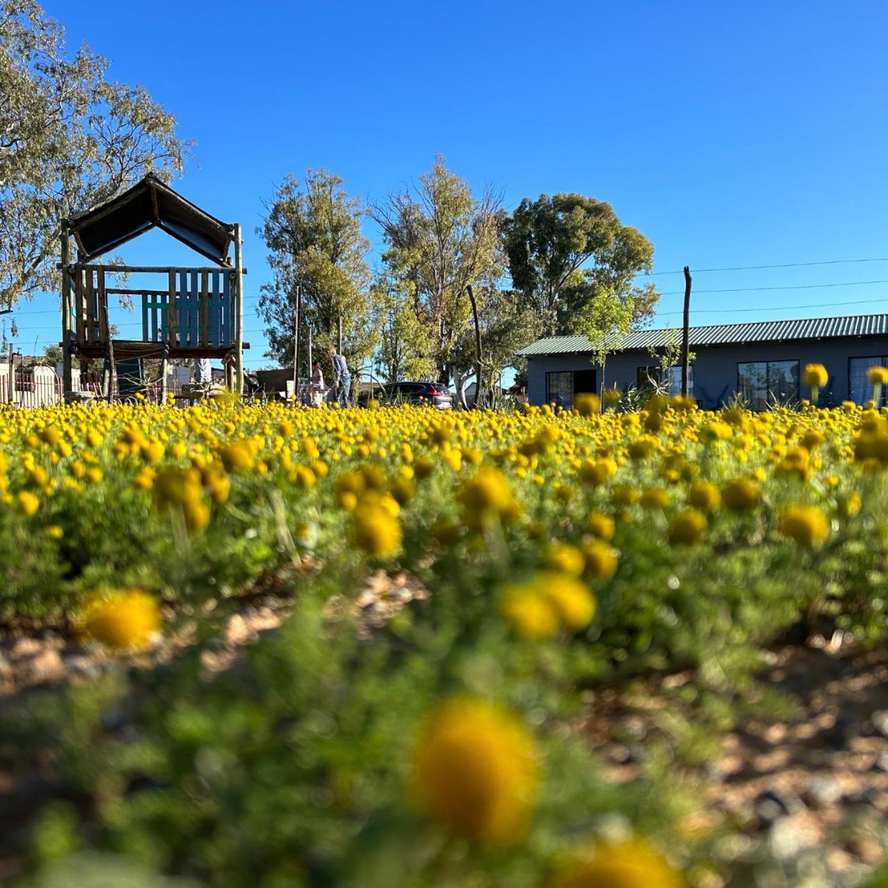 Hotel Little Farms Colesberg Exterior foto